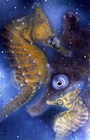 Seahorse Dreaming
