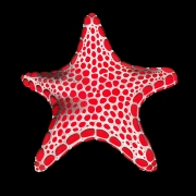 Vermilion Buscuit Star (Pentagonaster duebeni)