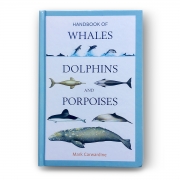 Dolphins_Porpoises